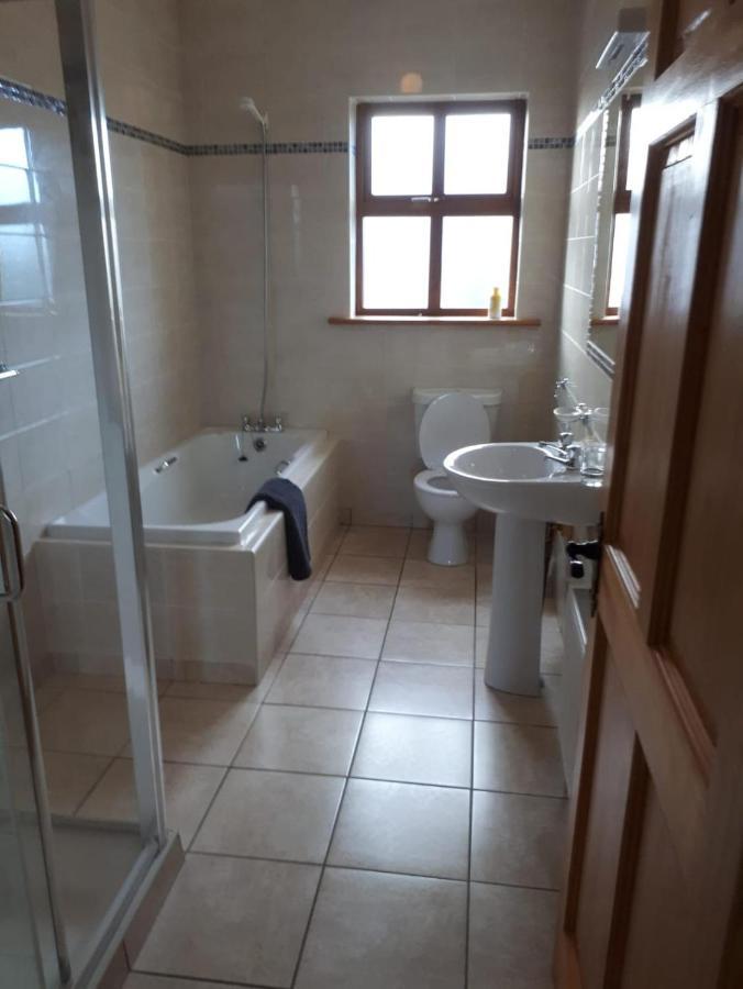 Ballytigue House Clarecastle Экстерьер фото