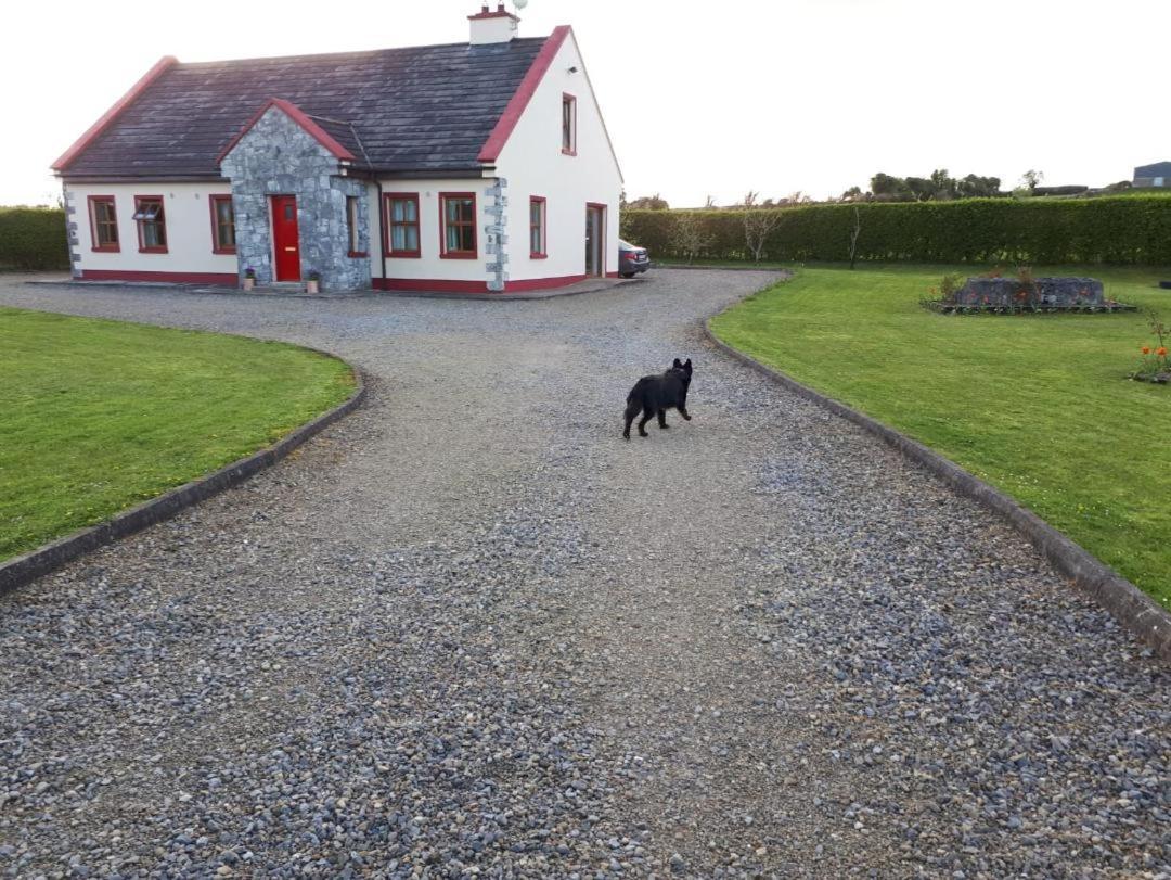 Ballytigue House Clarecastle Экстерьер фото