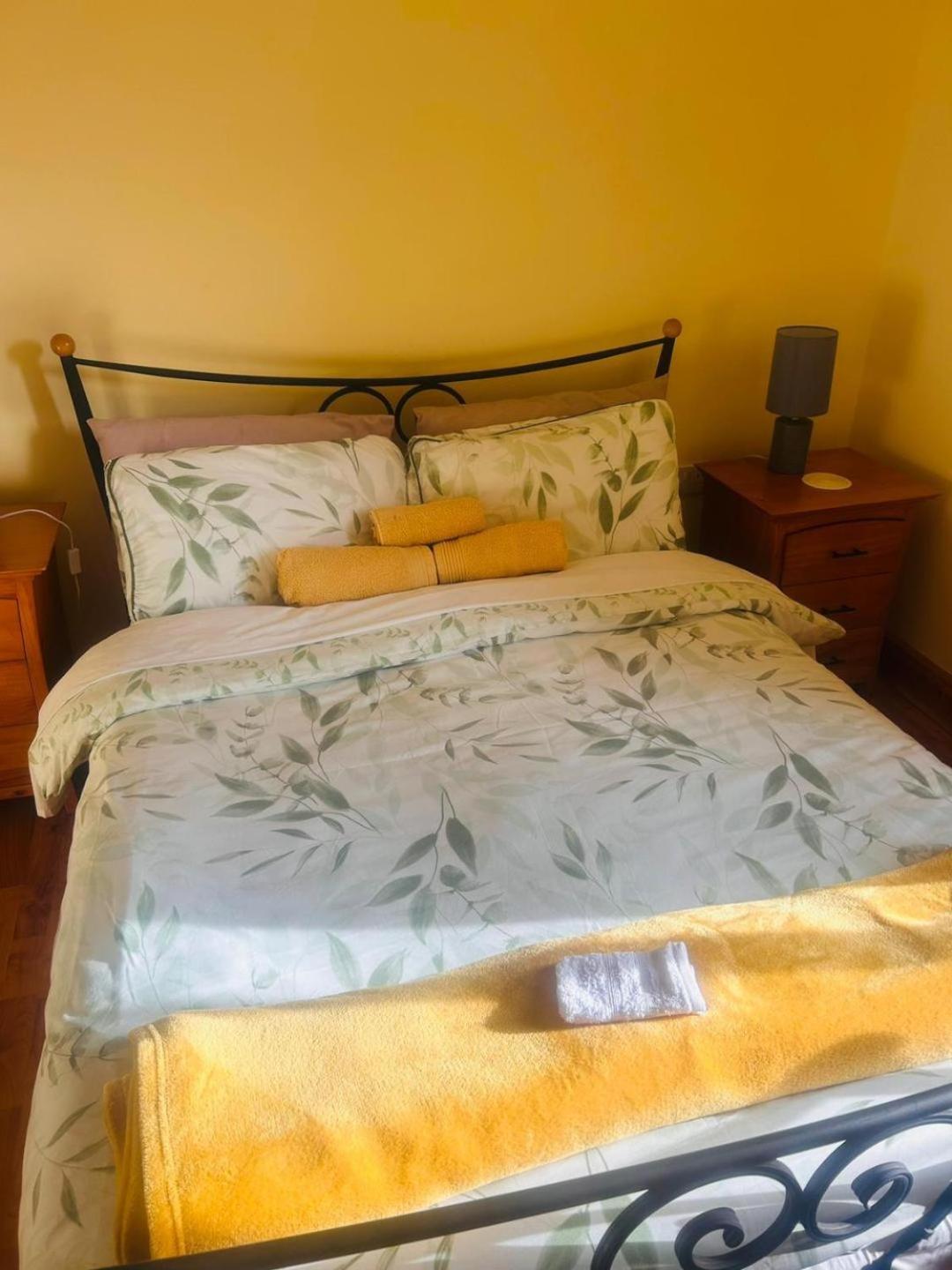 Ballytigue House Clarecastle Экстерьер фото