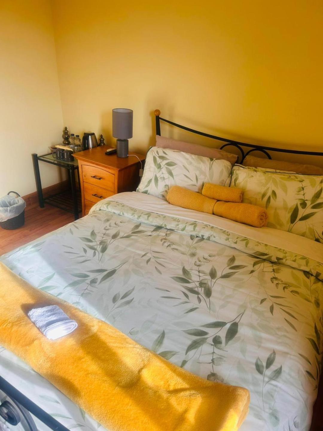 Ballytigue House Clarecastle Экстерьер фото