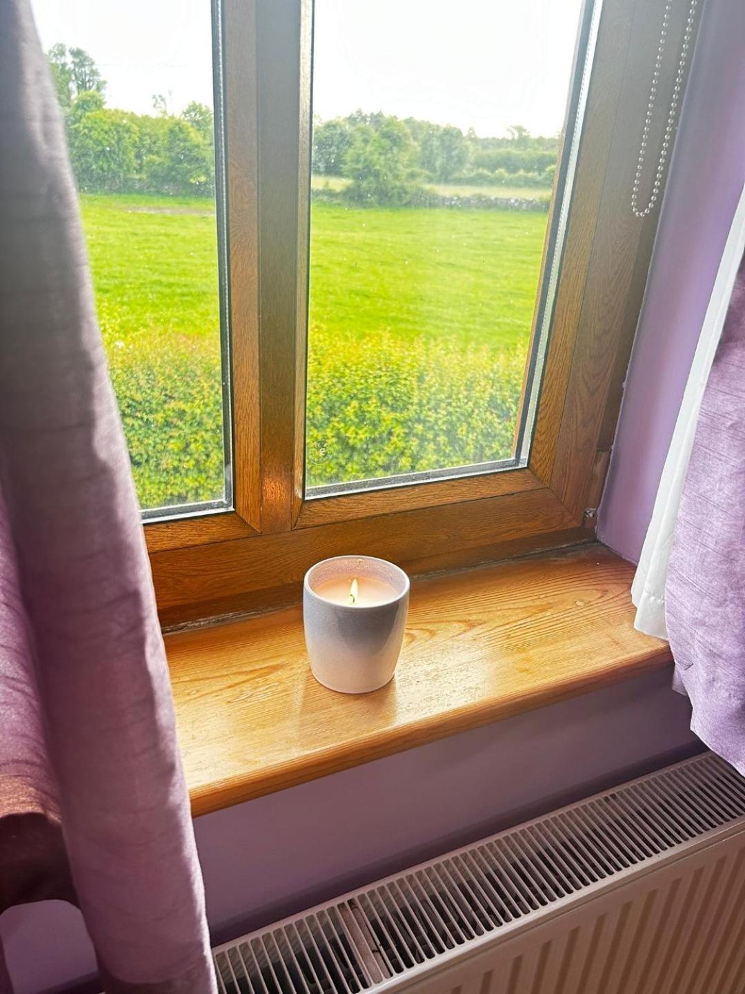 Ballytigue House Clarecastle Экстерьер фото