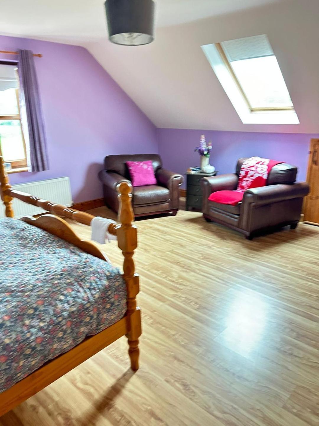 Ballytigue House Clarecastle Экстерьер фото