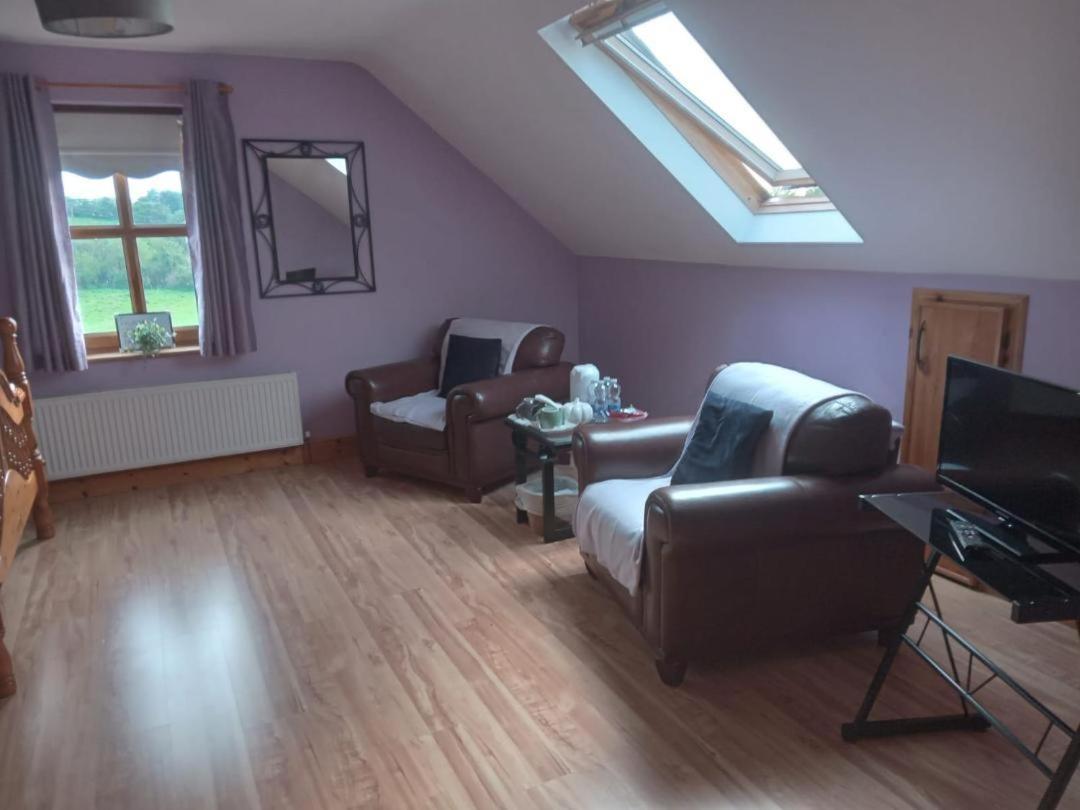 Ballytigue House Clarecastle Экстерьер фото
