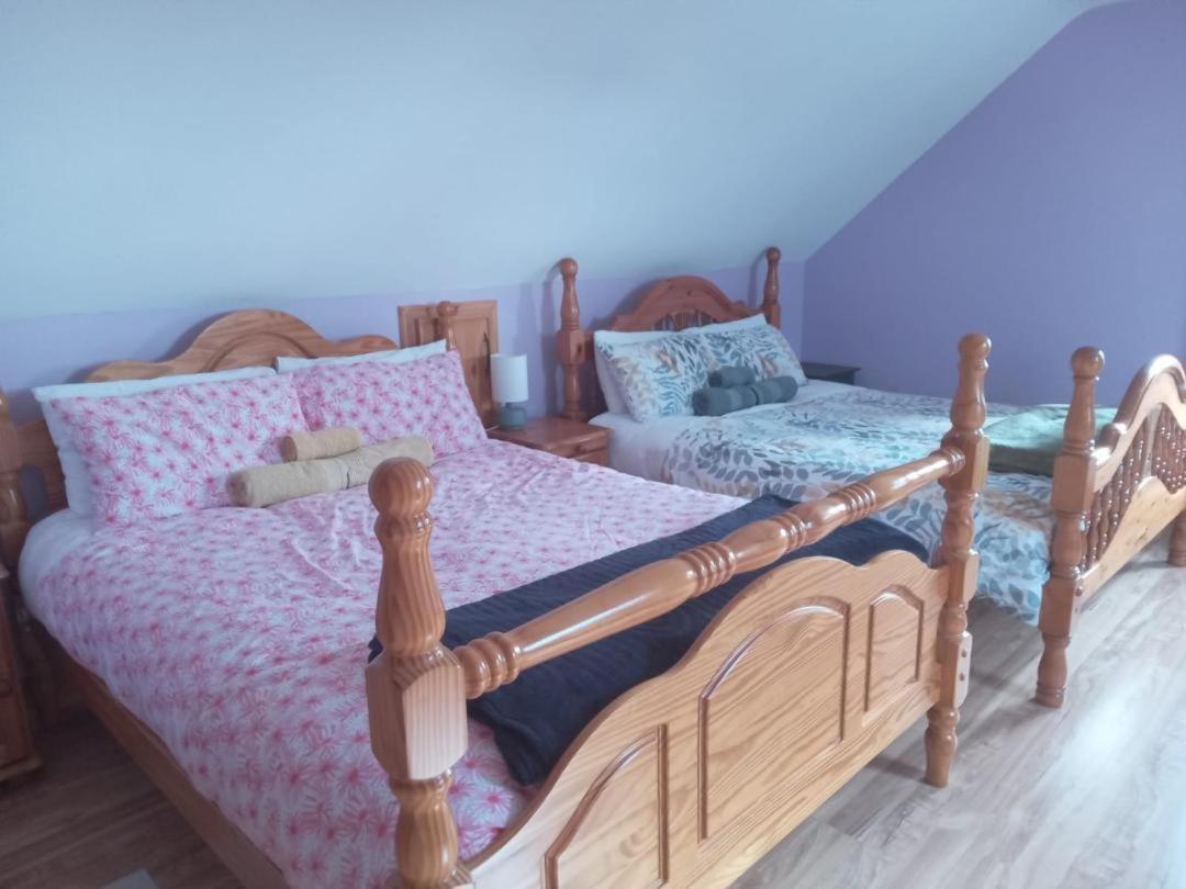 Ballytigue House Clarecastle Экстерьер фото