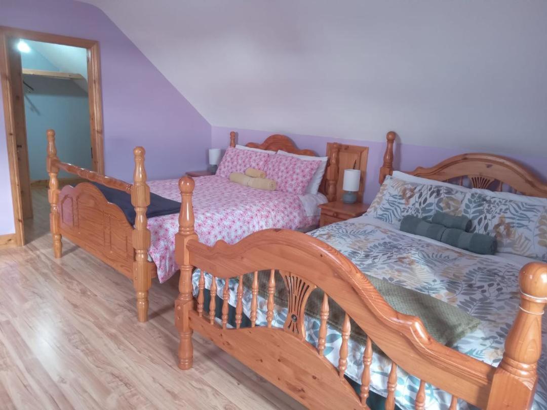 Ballytigue House Clarecastle Экстерьер фото